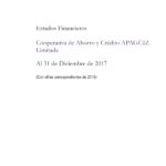 Informe Final Cooperativa Apaguiz 2017-2016 Pagina Web-01