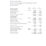 Informe Final Cooperativa Apaguiz 2017-2016 Pagina Web-07