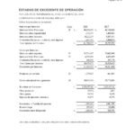 Informe Financiero Cooperativa Apaguiz 21-3-2019 -07