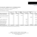 Informe Financiero Cooperativa Apaguiz 21-3-2019 -08