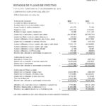 Informe Financiero Cooperativa Apaguiz 21-3-2019 -09