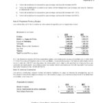 Informe Financiero Cooperativa Apaguiz 21-3-2019 -22