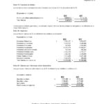 Informe Financiero Cooperativa Apaguiz 21-3-2019 -27