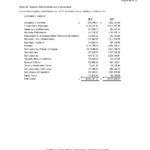 Informe Financiero Cooperativa Apaguiz 21-3-2019 -29