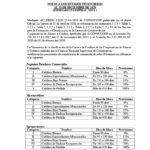 ESTADOS FINANCIEROS AUDITADOS COOP. APAG├£IZ 20201024_11