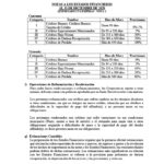 ESTADOS FINANCIEROS AUDITADOS COOP. APAG├£IZ 20201024_12