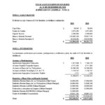 ESTADOS FINANCIEROS AUDITADOS COOP. APAG├£IZ 20201024_16