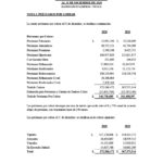 ESTADOS FINANCIEROS AUDITADOS COOP. APAG├£IZ 20201024_18