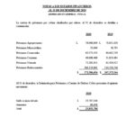 ESTADOS FINANCIEROS AUDITADOS COOP. APAG├£IZ 20201024_19
