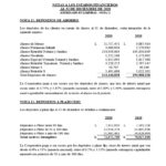 ESTADOS FINANCIEROS AUDITADOS COOP. APAG├£IZ 20201024_24