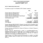 ESTADOS FINANCIEROS AUDITADOS COOP. APAG├£IZ 20201024_25