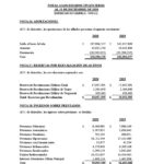 ESTADOS FINANCIEROS AUDITADOS COOP. APAG├£IZ 20201024_27