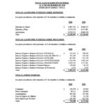 ESTADOS FINANCIEROS AUDITADOS COOP. APAG├£IZ 20201024_28