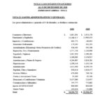 ESTADOS FINANCIEROS AUDITADOS COOP. APAG├£IZ 20201024_29