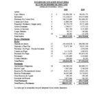 ESTADOS FINANCIEROS AUDITADOS COOP. APAG├£IZ 20201024_4