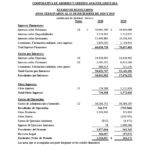 ESTADOS FINANCIEROS AUDITADOS COOP. APAG├£IZ 20201024_5