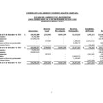 ESTADOS FINANCIEROS AUDITADOS COOP. APAG├£IZ 20201024_6