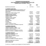 ESTADOS FINANCIEROS AUDITADOS COOP. APAG├£IZ 20201024_7