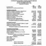 Estados Financieros Auditados 2021_Página_09