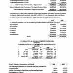 Estados Financieros Auditados 2021_Página_20