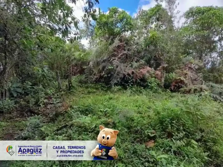 San Esteban Trojes 1