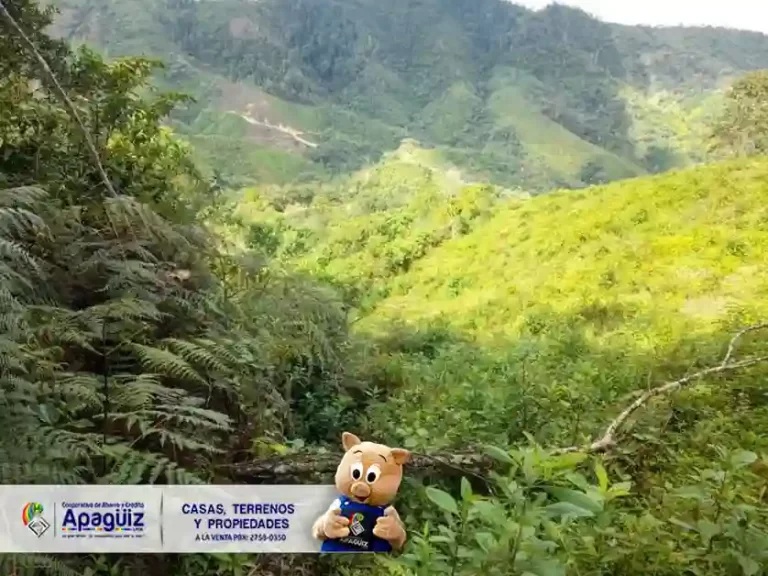 San Esteban Trojes 2