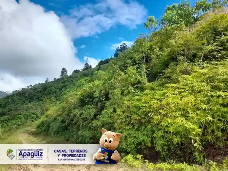 San Esteban Trojes 3