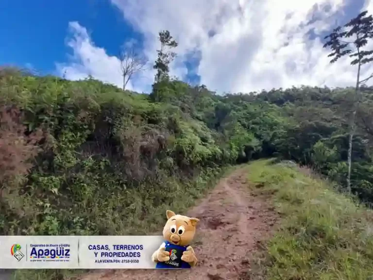 San Esteban Trojes 4