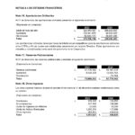 Resumen Ejecutivo Coop. Apagüiz 2025 (VF)_page-0015